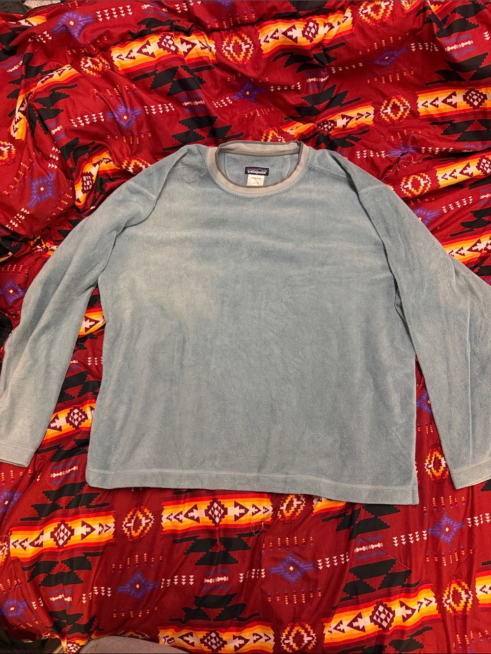 Patagonia Light Blue Crewneck Fleece Pullover